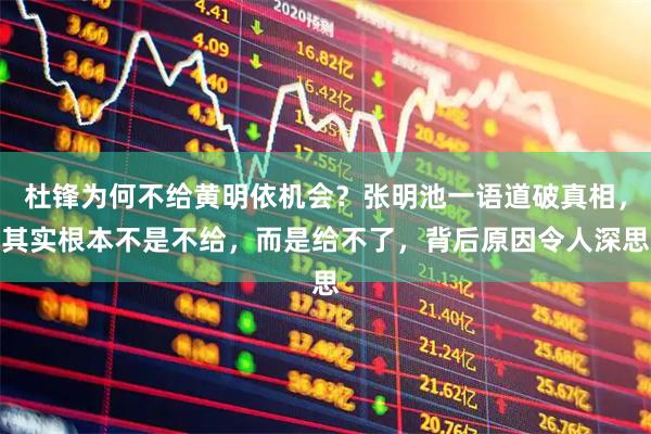 杜锋为何不给黄明依机会？张明池一语道破真相，其实根本不是不给，而是给不了，背后原因令人深思